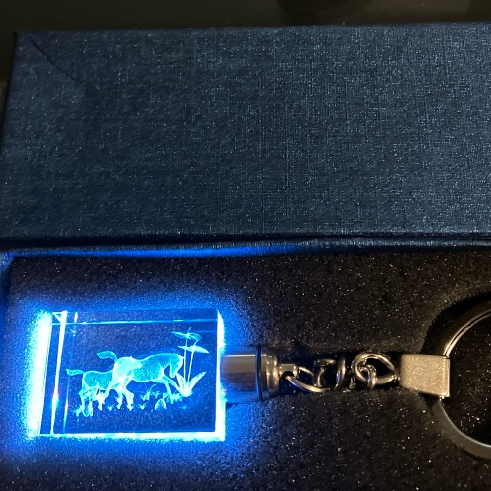 Rectangle shape Horse and Butterfly Crystal Keychain